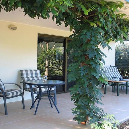 Hillcrest Mountain View Retreat Bed and Breakfast Crystal Creek Εξωτερικό φωτογραφία