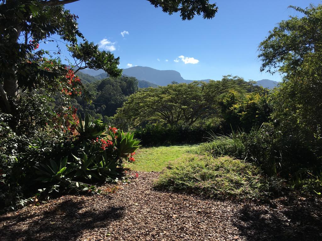 Hillcrest Mountain View Retreat Bed and Breakfast Crystal Creek Εξωτερικό φωτογραφία