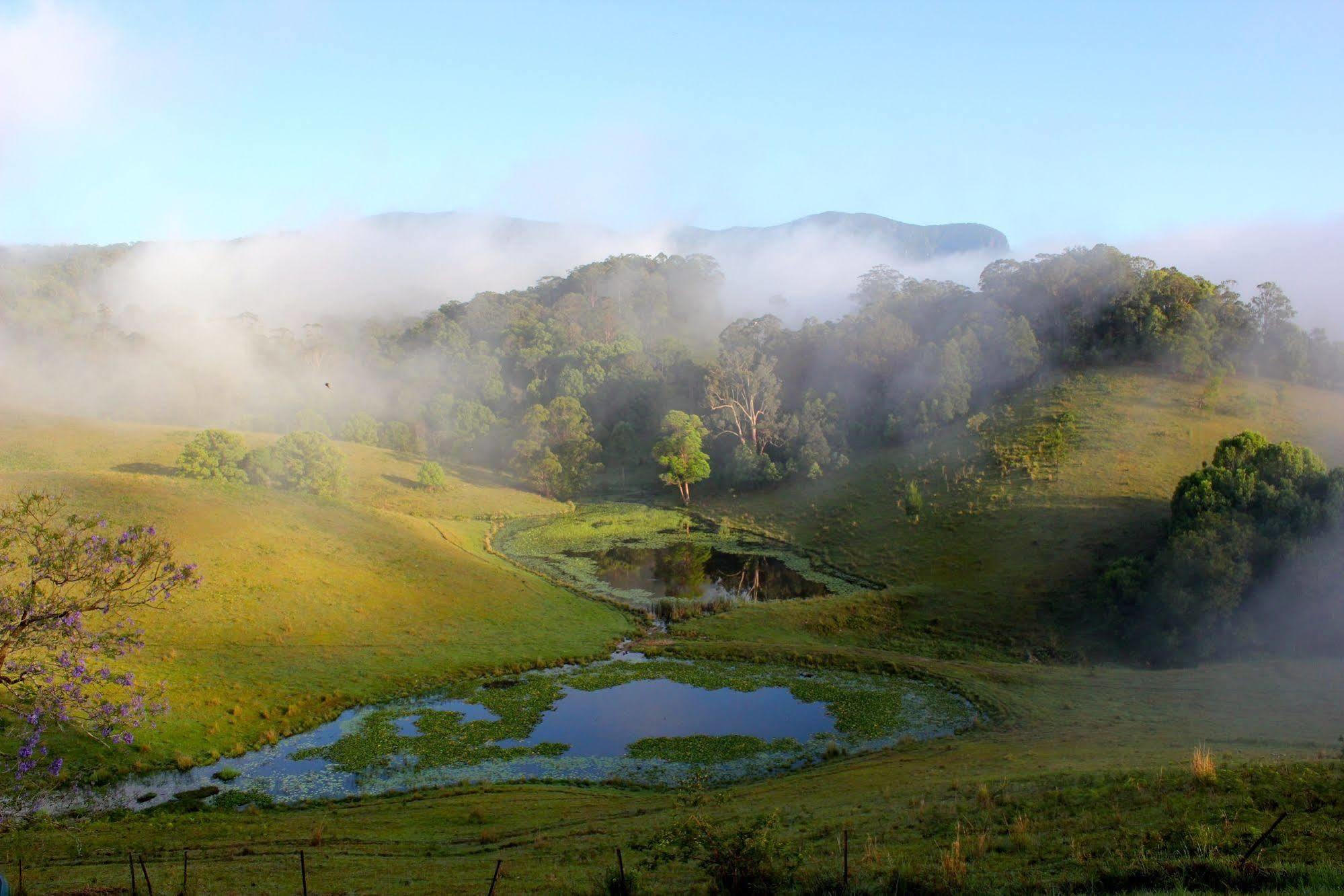 Hillcrest Mountain View Retreat Bed and Breakfast Crystal Creek Εξωτερικό φωτογραφία
