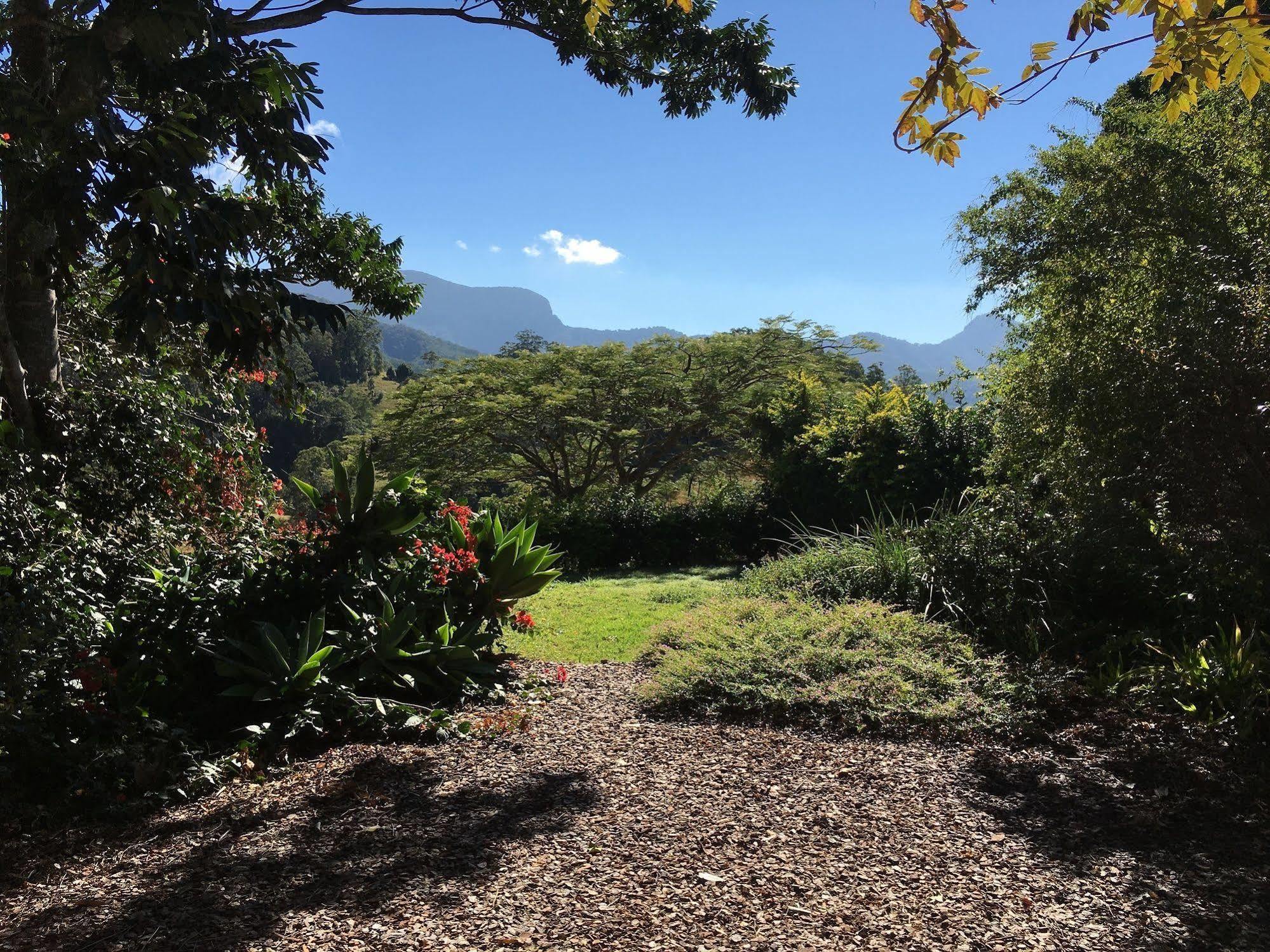 Hillcrest Mountain View Retreat Bed and Breakfast Crystal Creek Εξωτερικό φωτογραφία
