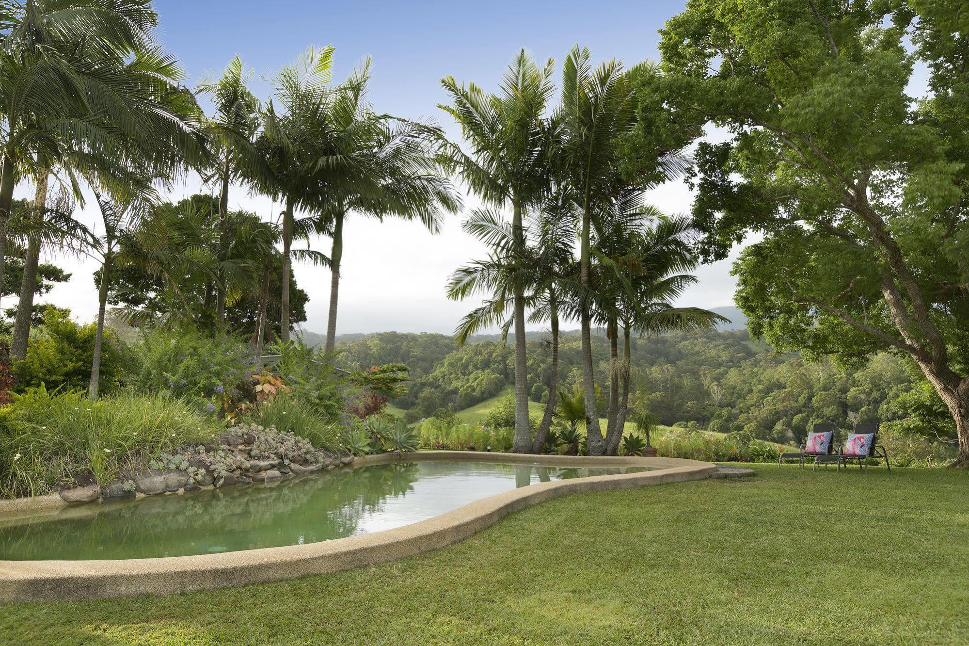 Hillcrest Mountain View Retreat Bed and Breakfast Crystal Creek Εξωτερικό φωτογραφία